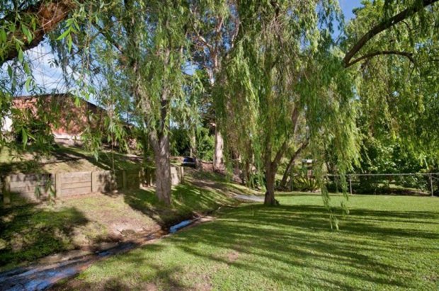 The creel and gorgeous Willows