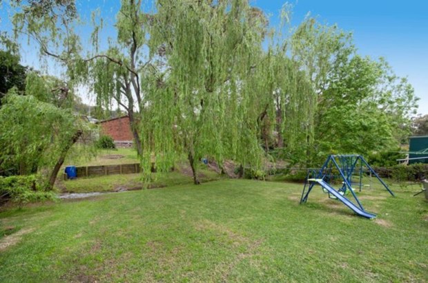 Big backyard to play with!